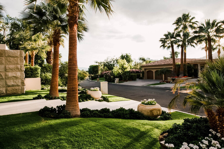 neatly-groomed-lawn