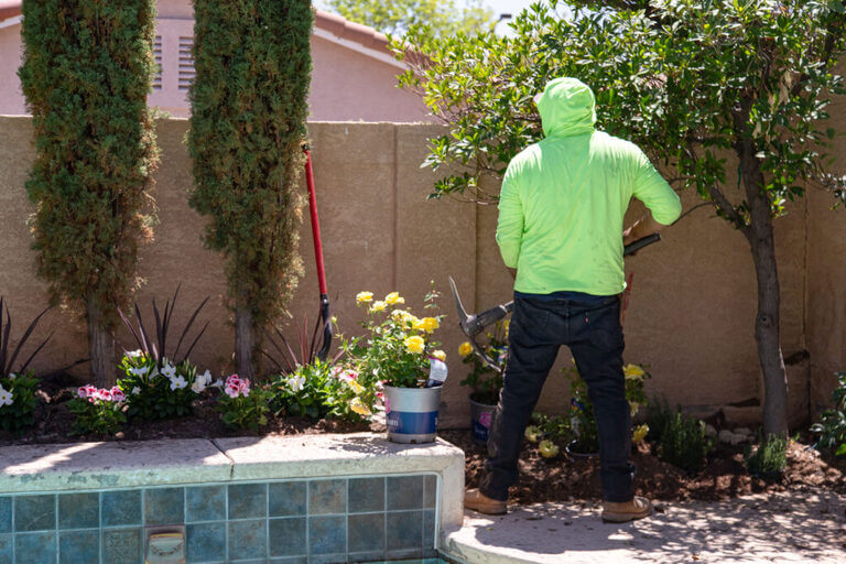 plant-installation